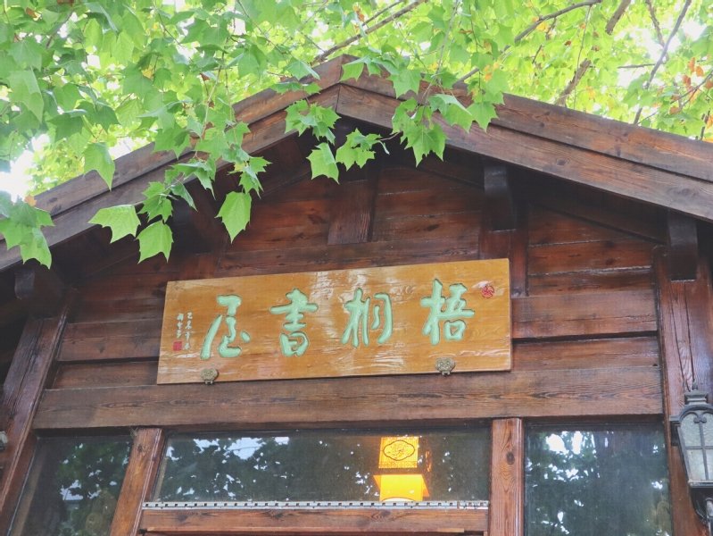 2026年5月