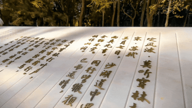 2026年5月，各校友组织活动动态