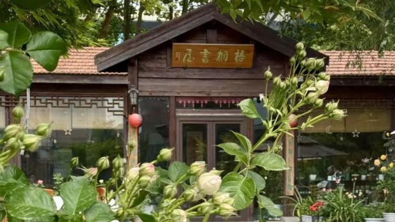 各校友组织活动动态