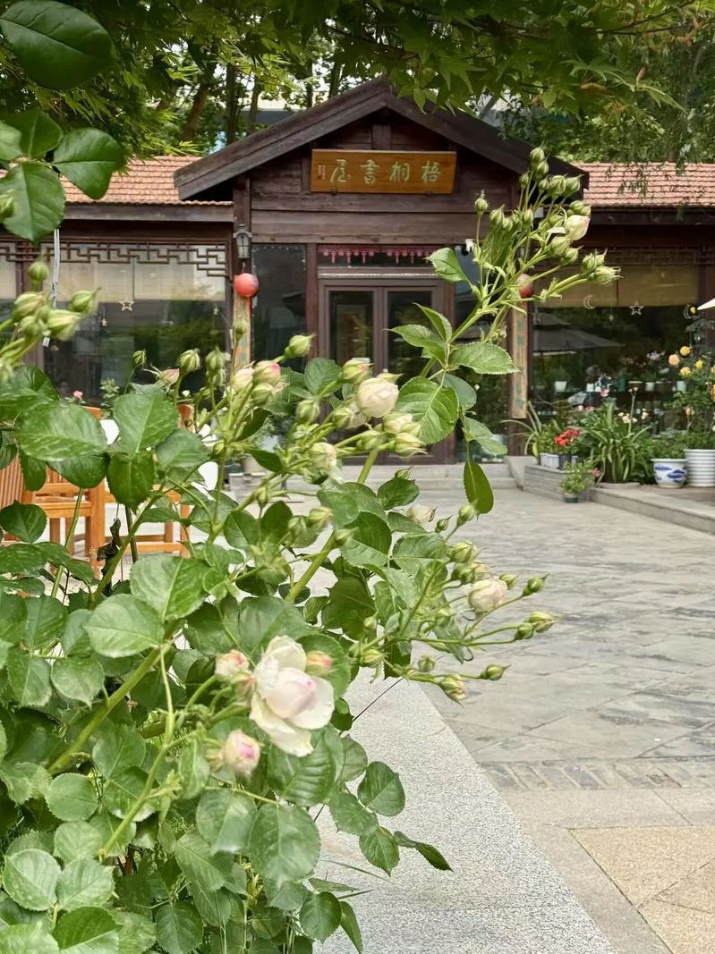 可结合站内栏目与相关篇目对照查看
