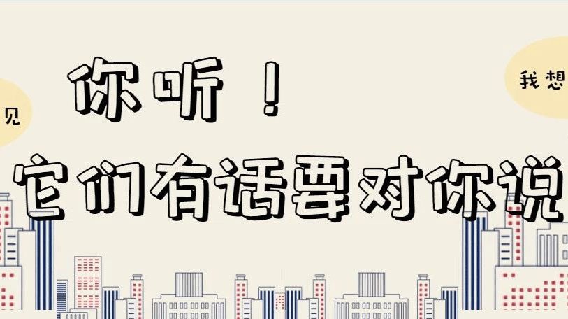 2026年5月，各校友组织活动动态